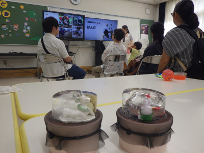 7 アイスドーム